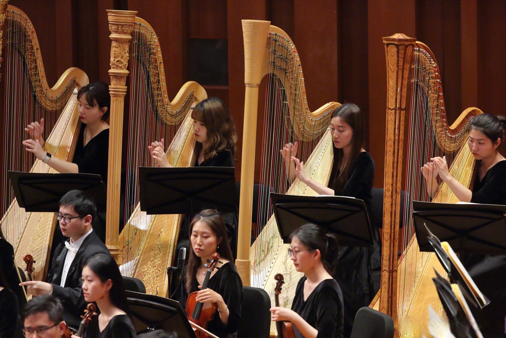 关于RNG教练压力巨大！，莎拉波娃遭遇十五持续失利观众掌声雷动的信息-开云App